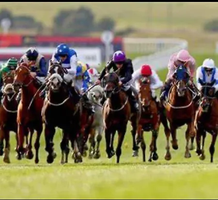 Ferienhaus No1 The Townhouse Kildare