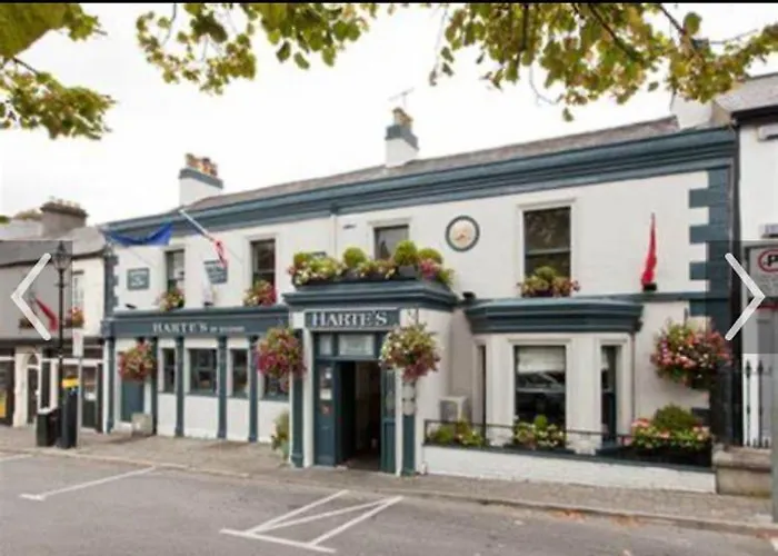 No1 The Townhouse Semesterbostad Kildare